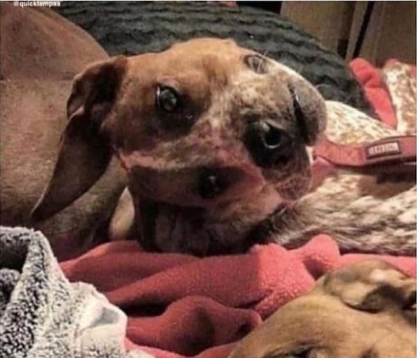 11. Фух, криповатое фото, согласитесь...