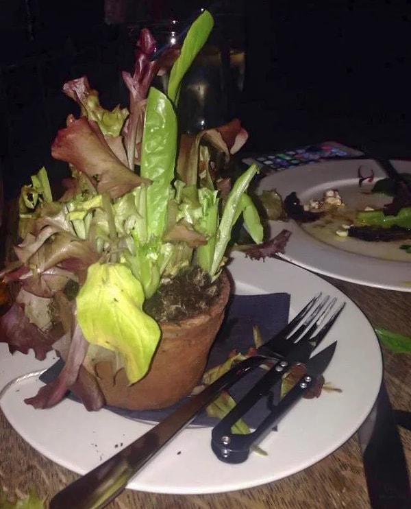 9. Салат свежее некуда