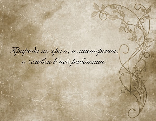 5. Помните ли вы эти слова?