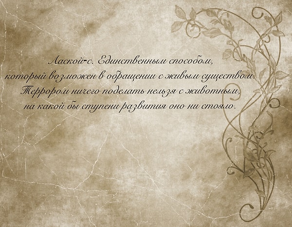 10. А это слова...