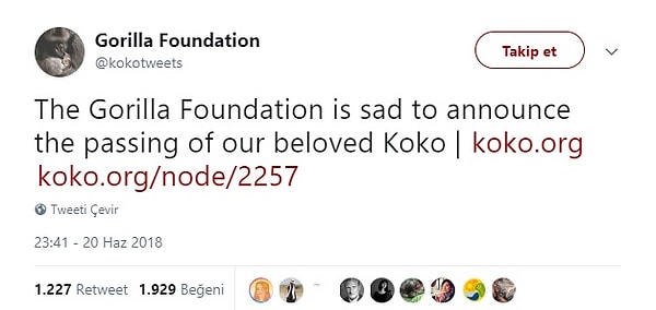 "Фонд горилл печально сообщает о кончине нашей любимой Коко".