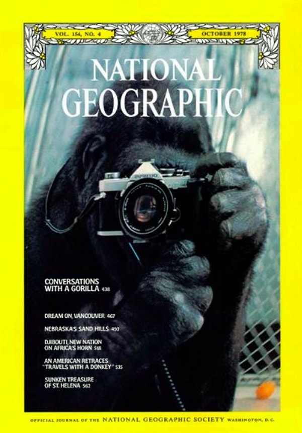 Это обложка журнала National Geographic, опубликованного в 1985 году.
