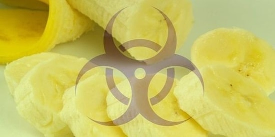 Коровья трава или ячменное зерно? Знаете ли вы, для чего используются эти необычные единицы измерения?