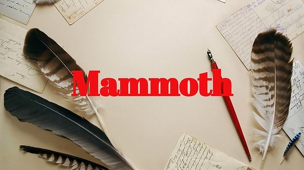 5. Еще одно интересное русское слово, получившее широкое распространение в английском языке.