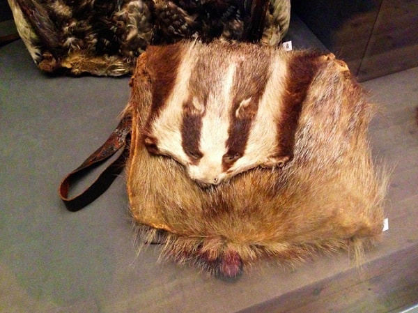 3. Защитникам животных стоит насторожиться, ведь эта сумка, вероятно, сделана из барсука...