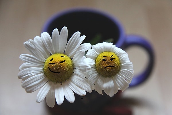 Чувство юмора - вот ваш конек