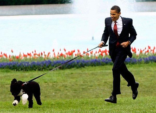3. Barack Obama ve Bo