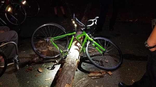 13. Несмотря на то, что сложно представить, как такое могло случиться, горе-ездок выжил 😁