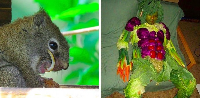 Фотографии, которые вы, скорее всего, могли видеть только в страшных или странных снах