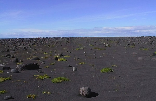 8. Это значит, что кто-то всё же нарушил правила острова!