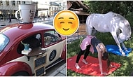 Öğrenmeden Duramıyoruz! Dünyanın Bize Her Gün Yeni Şeyler Öğrettiğini Kanıtlayan 17 Özel Fotoğraf