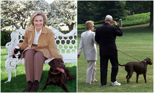 8. Хиллари Клинтон / Socks