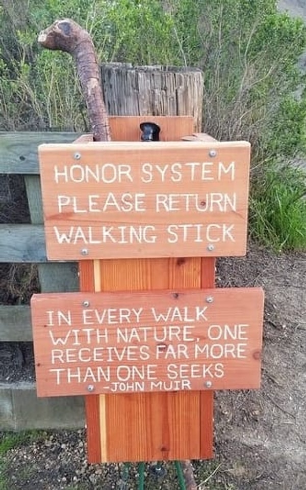 9. Трости для всех желающих для длительных прогулок на природе.