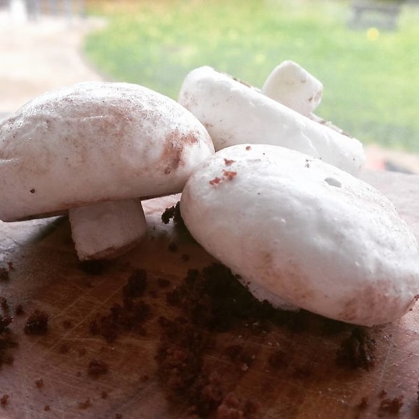 3. Кокосовые грибочки