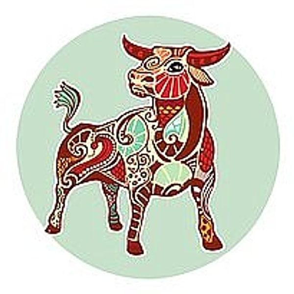 Boğa