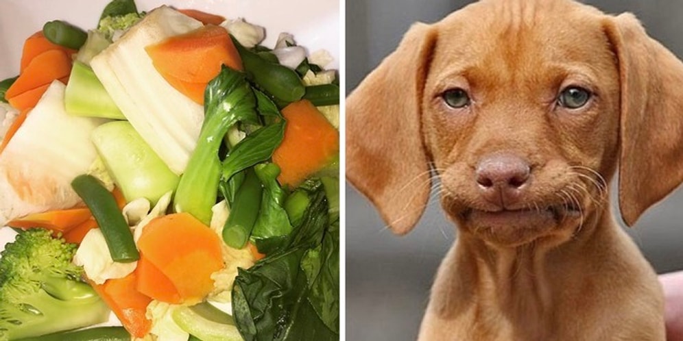 Веганские «явства», которые язык не поворачивается назвать едой