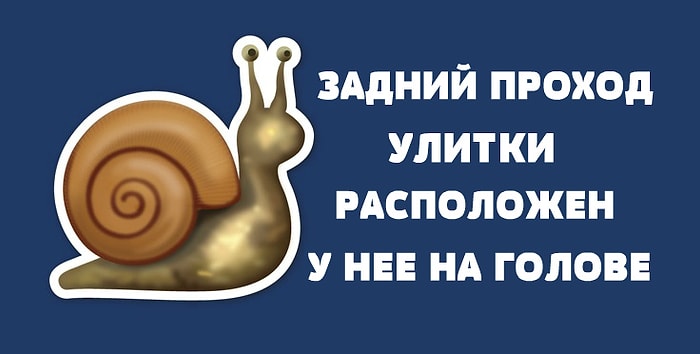 Подборка интригующих фактов, от которых ваши мурашки станцуют канкан