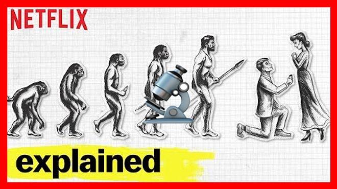 Netflix'in Her Bölümünde Farklı Bir Konuyu Ele Alan Mini Belgeseli: Explained