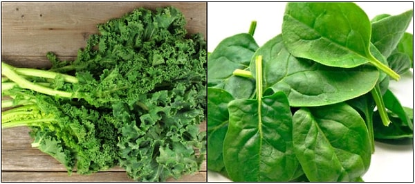 2. В чем содержится больше кальция?