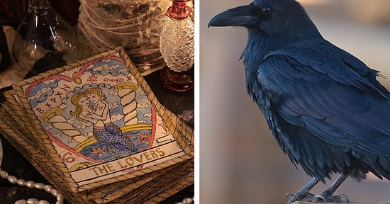 Тест: какой известной киноведьмой вы могли бы быть?