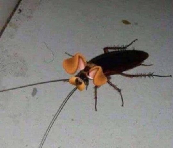 5. Когда снэпчат-фильтр научился распознавать лица не только людей