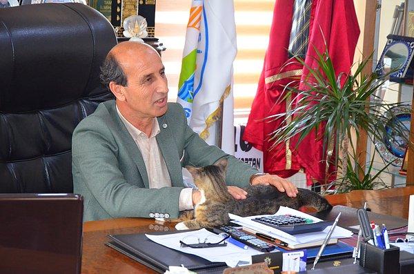 Belediye Başkanı Özer Kaptan: "Her yerde hayvanlara destek olmalıyız, korumalıyız."