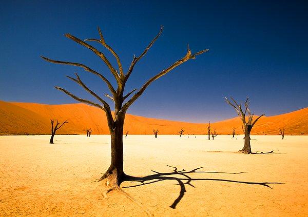 29. Nambiya'da kara seyahati yapmalısınız.