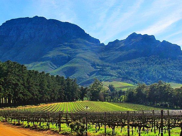 30. Güney Afrika'daki şarap, yiyecekler ve manzarayla büyüleneceksiniz.