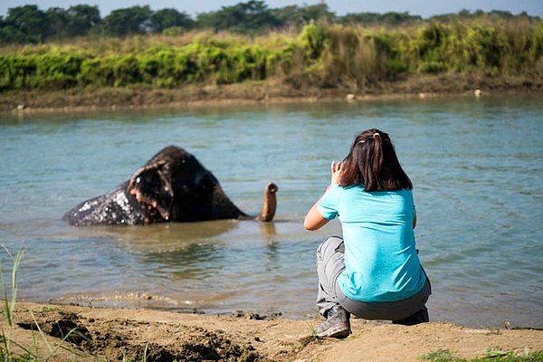 52. Nepal'deki Cahitwan Milli Park'ında vahşi yaşamı keşfetmelisiniz.