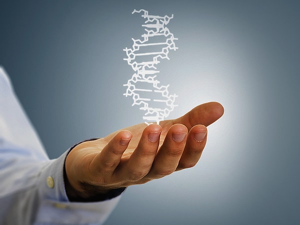 5. Конечно, большую роль здесь играет генетика, но изменив образ жизни, можно повлиять на метаболизм.