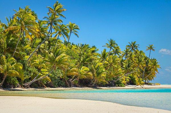 76. Cook adalarında Tapuaetai'ye doğru rüyalar gibi bir gezinti yapabilirsiniz.