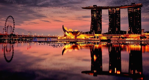 8. С какими государствами граничит Сингапур?