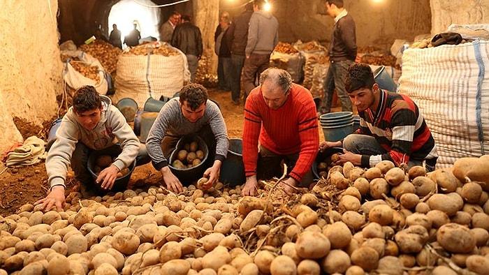 Ekonomi Bakanı Açıkladı: 'Suriye'den Patates İthal Ettik'
