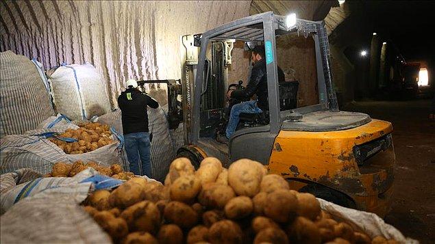 Suriye'den 4 bin ton patates ithal edildi