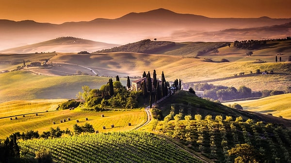 1. Начнем с главного. Где бы вы предпочли свить свое гнездышко?