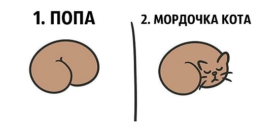 «Рисуем из попы»: индийский художник доказывает, что все на свете можно нарисовать из пятой точки