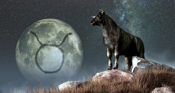 4. Телец и Дева