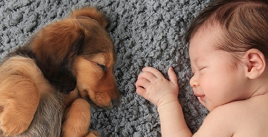 Bu Fotoğraf Testine Göre İnsanların Sana Neden Aşık Olduklarını Söylüyoruz!