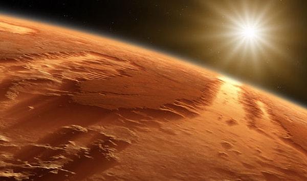 8. Mars’ta uzaylılara ait bir yaşam olduğunu keşfedip gemiye, buradaki yaşama dair örnek getirdiniz. Bundan sonra yapmanız gereken şey ne olmalı?