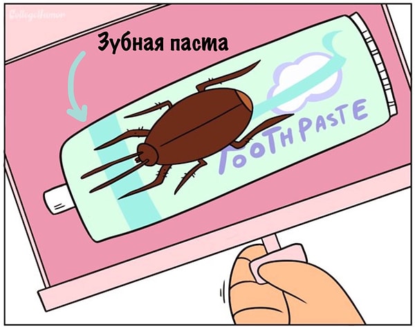 5. И вдруг: