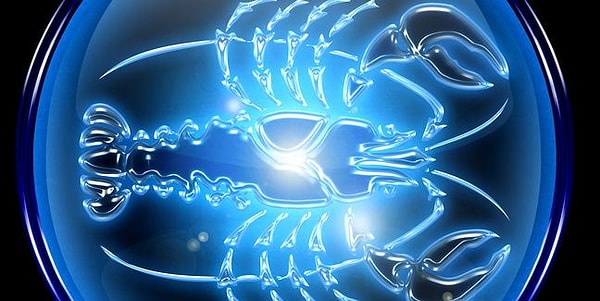 4. А какое описание не имеет отношения к Ракам?