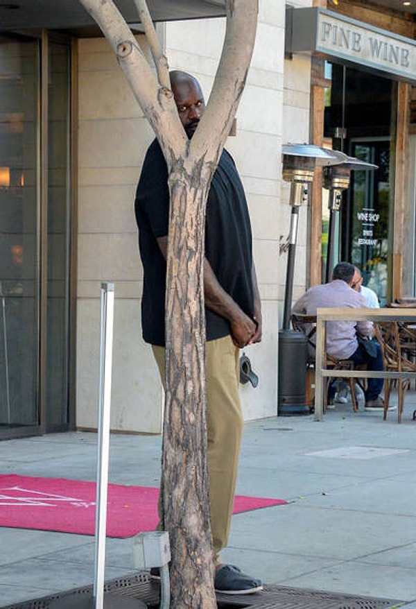 11. Шакил О’Нил и его идеальная маскировка