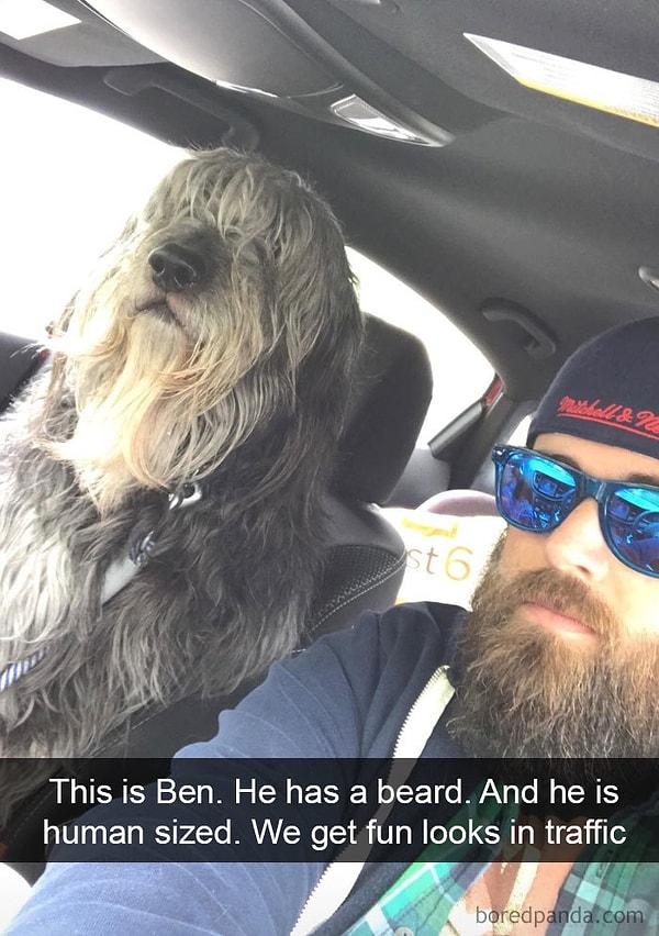 4. "Bu Ben. Onun sakalı var. Bir insan kadar büyük. Trafikte komik bakışlar alıyoruz."