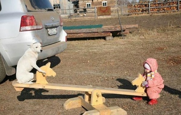 14. Собака, как говорится, - лучший друг человека :)