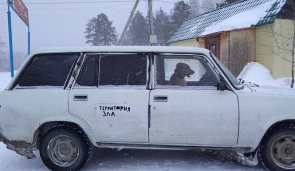 19. Новая версия надписи "Осторожно, злая собака" :)