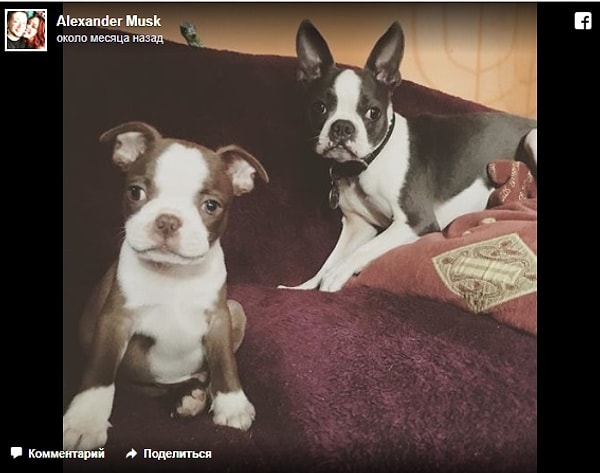 Эти две красивые Лолы стали причиной того, что пара начала переписываться, а через некоторое время они уже общались каждый день несмотря на то, что живут в разных странах.