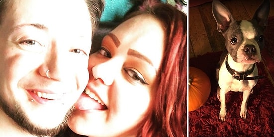 Пара, которая познакомилась на Facebook благодаря одинаковым кличкам и породе своих собак, решила пожениться!