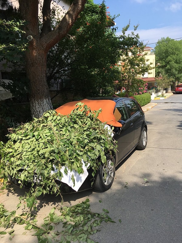 13. Полный камуфляж