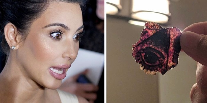 «Что за чёрт?»: Подборка напоминаний о том, что жизнь полна причуд