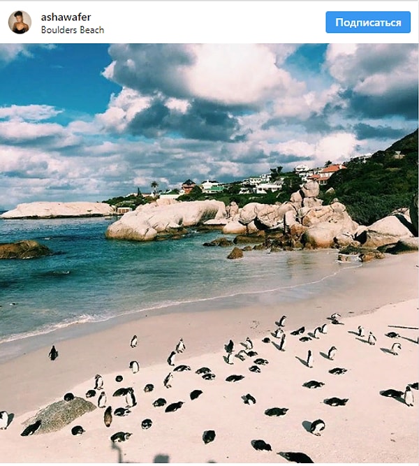 6. Пляж Болдерс, ЮАР